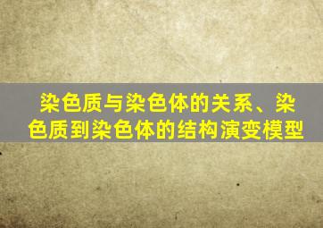 染色质与染色体的关系、染色质到染色体的结构演变模型