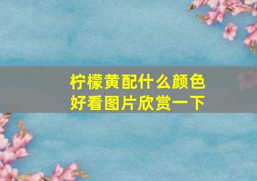 柠檬黄配什么颜色好看图片欣赏一下