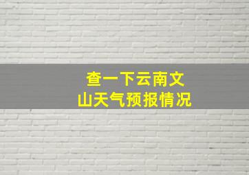 查一下云南文山天气预报情况