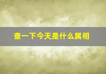 查一下今天是什么属相