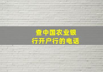 查中国农业银行开户行的电话