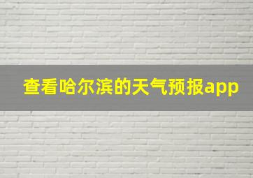 查看哈尔滨的天气预报app