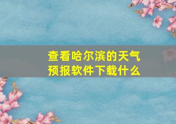 查看哈尔滨的天气预报软件下载什么