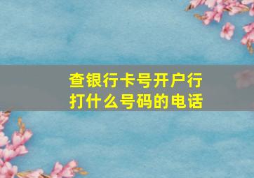 查银行卡号开户行打什么号码的电话