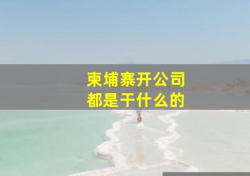 柬埔寨开公司都是干什么的