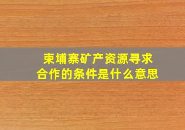 柬埔寨矿产资源寻求合作的条件是什么意思