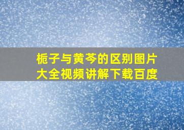 栀子与黄芩的区别图片大全视频讲解下载百度