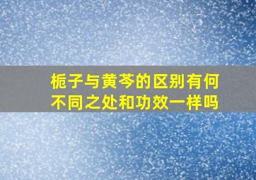 栀子与黄芩的区别有何不同之处和功效一样吗