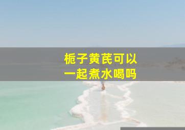 栀子黄芪可以一起煮水喝吗