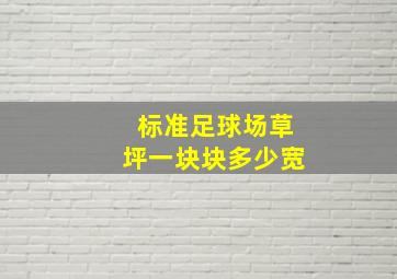 标准足球场草坪一块块多少宽