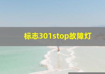 标志301stop故障灯