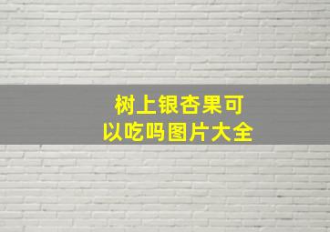 树上银杏果可以吃吗图片大全