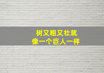 树又粗又壮就像一个巨人一样