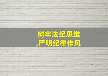 树牢法纪思维,严明纪律作风