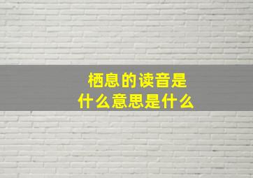 栖息的读音是什么意思是什么