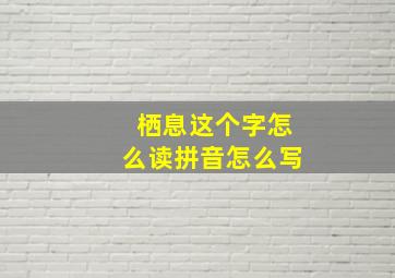 栖息这个字怎么读拼音怎么写