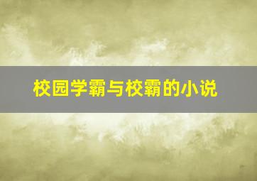 校园学霸与校霸的小说