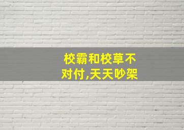 校霸和校草不对付,天天吵架