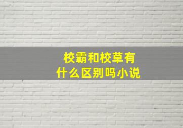 校霸和校草有什么区别吗小说