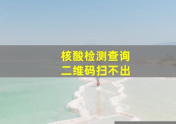 核酸检测查询二维码扫不出