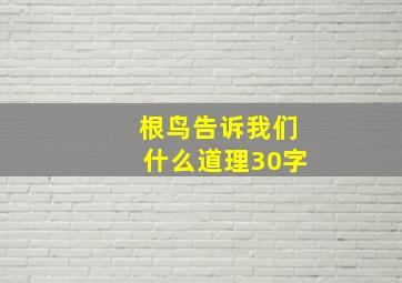 根鸟告诉我们什么道理30字