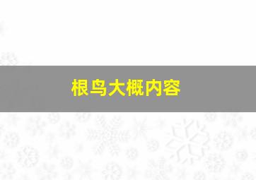 根鸟大概内容