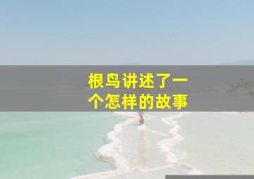 根鸟讲述了一个怎样的故事