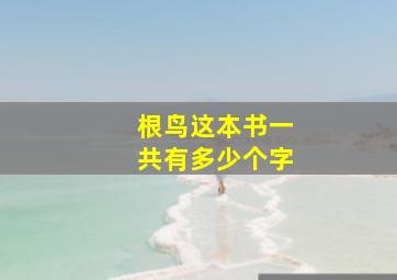 根鸟这本书一共有多少个字