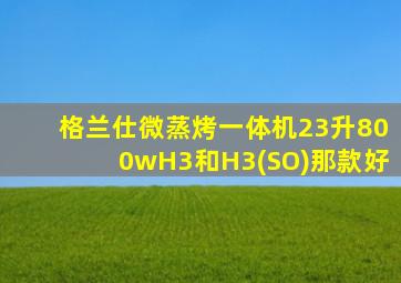 格兰仕微蒸烤一体机23升800wH3和H3(SO)那款好