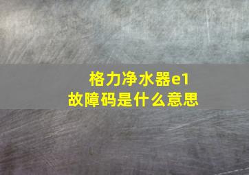 格力净水器e1故障码是什么意思