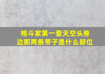 格斗家第一套天空头旁边那两条带子是什么部位