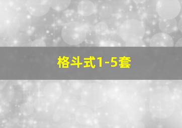 格斗式1-5套