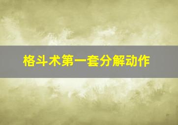 格斗术第一套分解动作