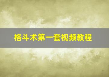 格斗术第一套视频教程