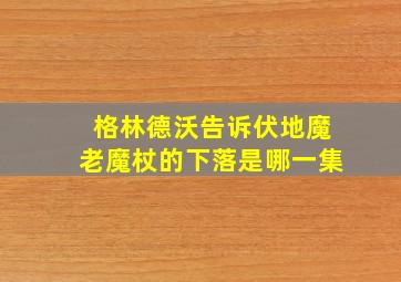 格林德沃告诉伏地魔老魔杖的下落是哪一集