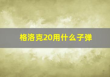 格洛克20用什么子弹