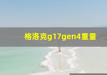 格洛克g17gen4重量