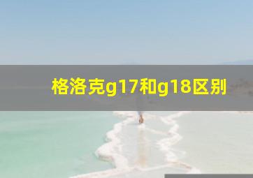 格洛克g17和g18区别