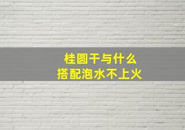 桂圆干与什么搭配泡水不上火