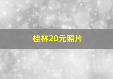 桂林20元照片