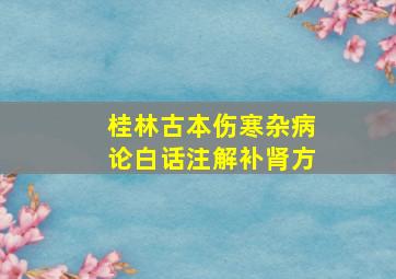 桂林古本伤寒杂病论白话注解补肾方