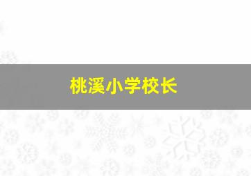 桃溪小学校长