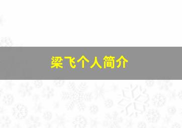 梁飞个人简介