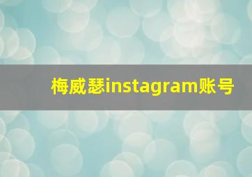 梅威瑟instagram账号