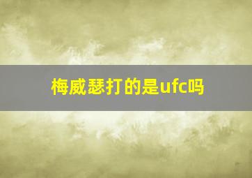 梅威瑟打的是ufc吗