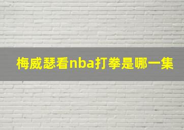 梅威瑟看nba打拳是哪一集