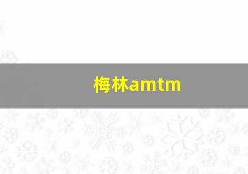 梅林amtm