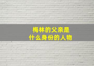 梅林的父亲是什么身份的人物