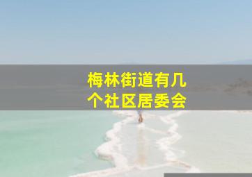 梅林街道有几个社区居委会