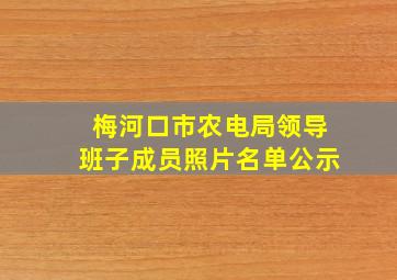 梅河口市农电局领导班子成员照片名单公示